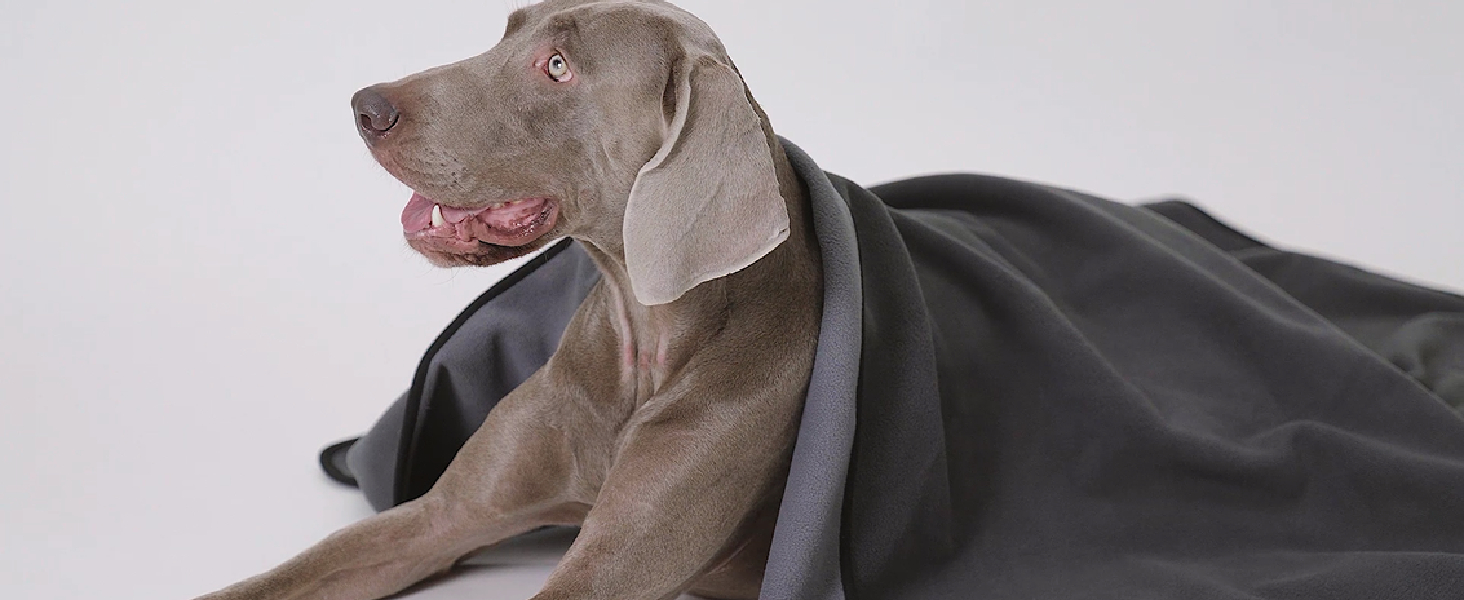 Водонепроникний коврик для собак PETTOM 152x127 см, м'який коврик для великих та маленьких собак, захисний коврик для дивана, ліжка, автокрісла, меблів - прання до 30°C (L, пісочний)