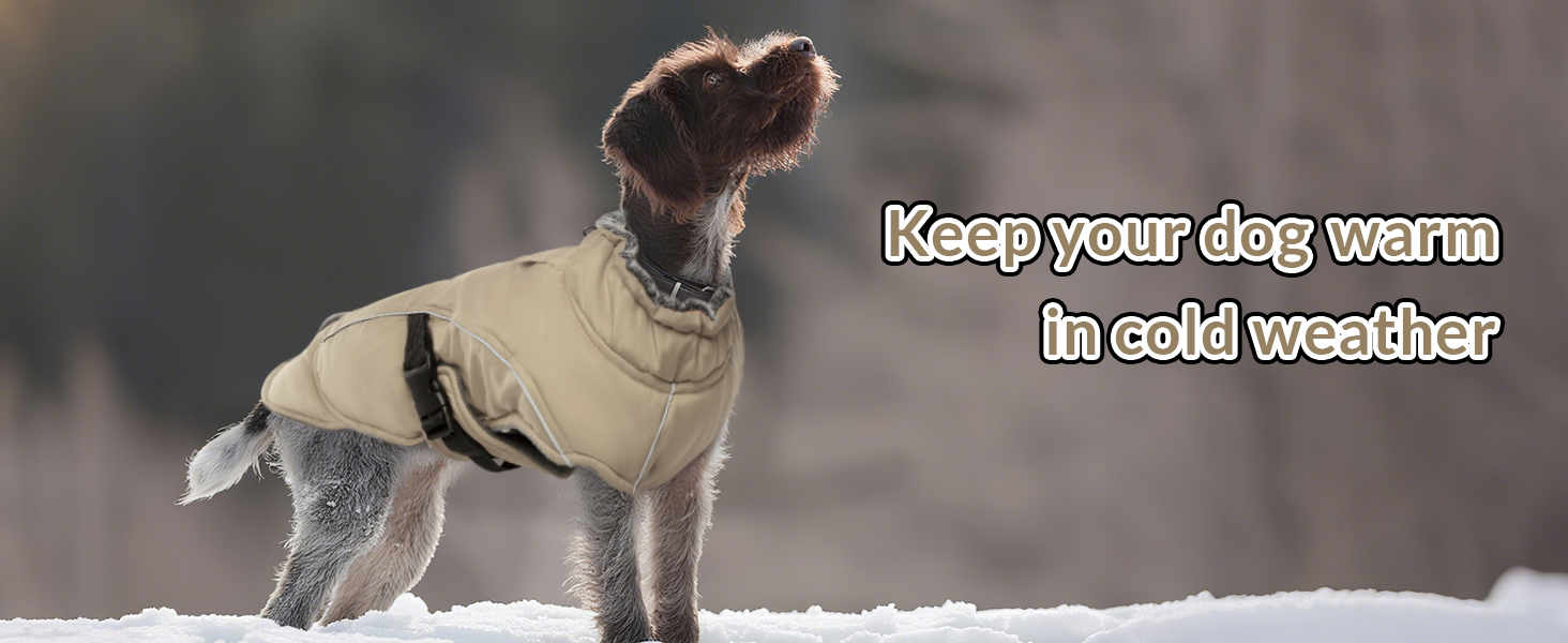 Зимовий теплий одяг для собак великих порід: куртка, пуловер, плащ (Хакі, XL)