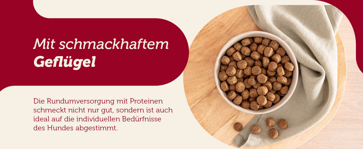 Сухий корм для собак MERA Essential Brocken з Omega-3 та Omega-6, 12.5 кг