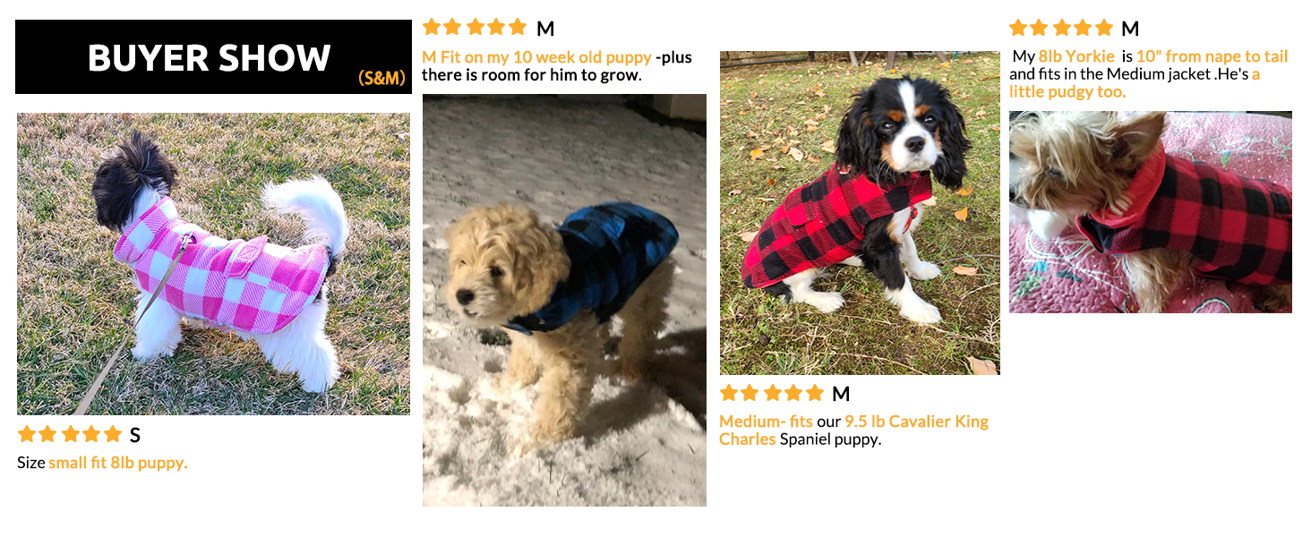 Зимовий теплий дощовик для собак XS, флісова куртка, дощовик для собак, 2 в 1, водонепроникний, вітрозахисний, з отвором для повідка, зелений