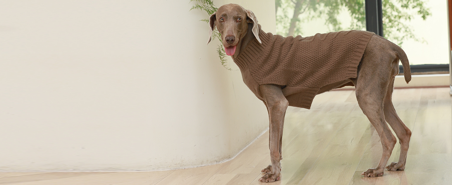 Пуловер для собак IECOii Great Dane, XXXXL, великі породи, теплий зимовий пуловер для собак, зелений, 5XL XXXXX-Large Armygreen