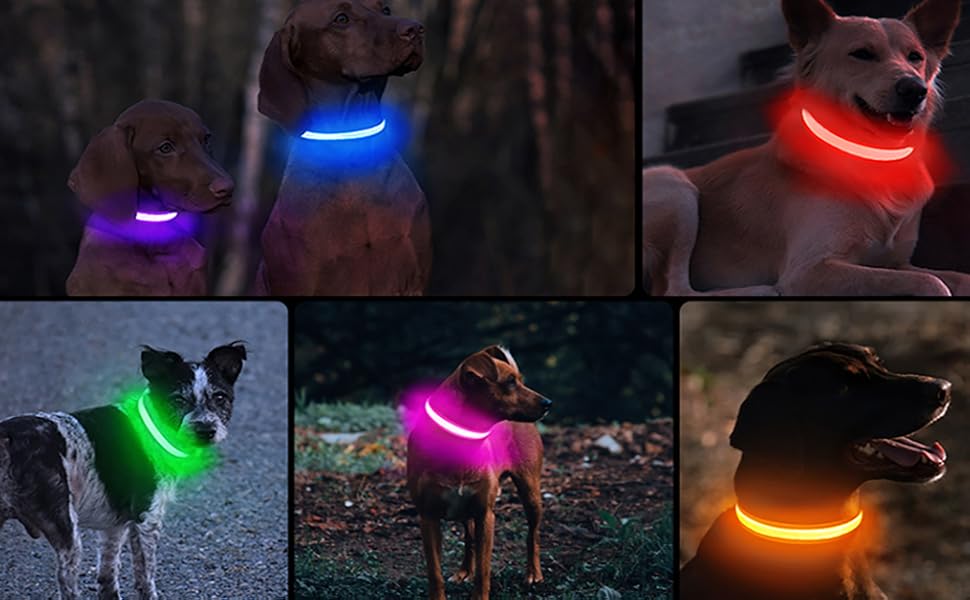 Світлодіодне нашийник для собак Masbrill, водонепроникний, з 3 режимами світіння, чорний, розмір S