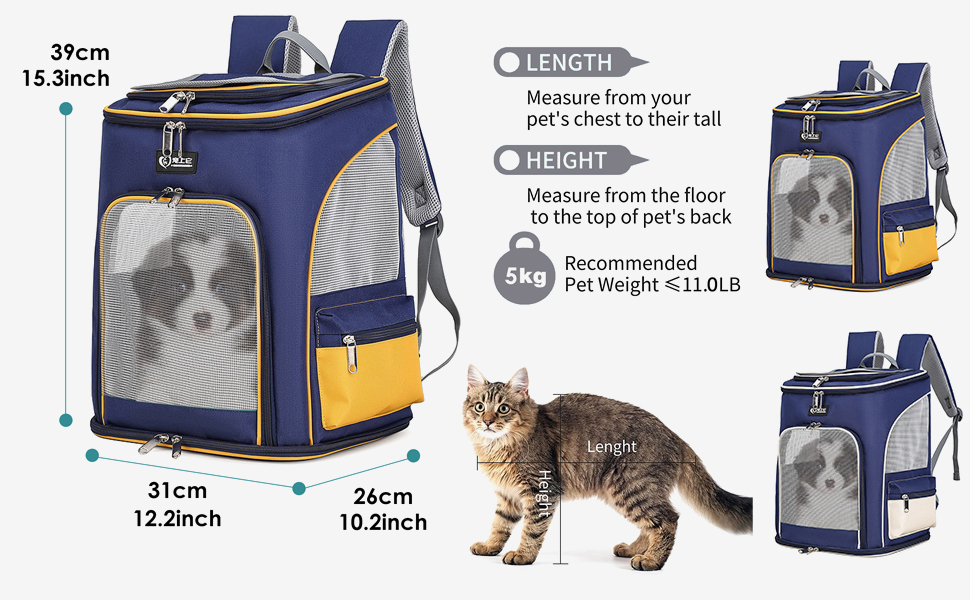 Рюкзак для собак та котів PETCUTE, дихаючий, з висувною підстилкою, прозоре вікно, складаний, з безпечним шнуром, для подорожей, Malachitgrün+Weiß