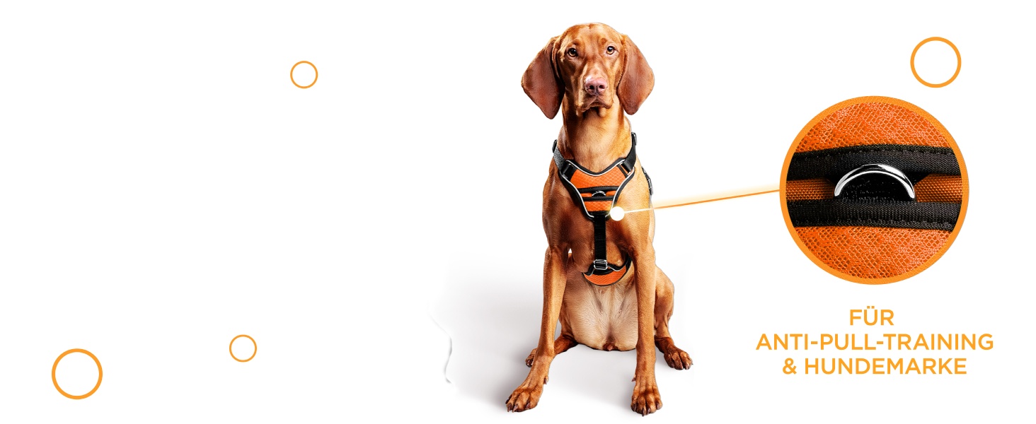 Шлейка для собак - світловідбиваюча, з м'якою підкладкою, для собак різних розмірів, помаранчевого кольору