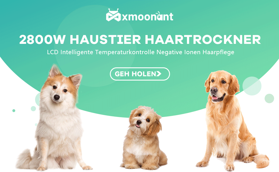 Фен для собак Mxmoonant 2800W з регулюванням потужності та температури, LED дисплеєм, контролем температури, іонізацією та набором насадок