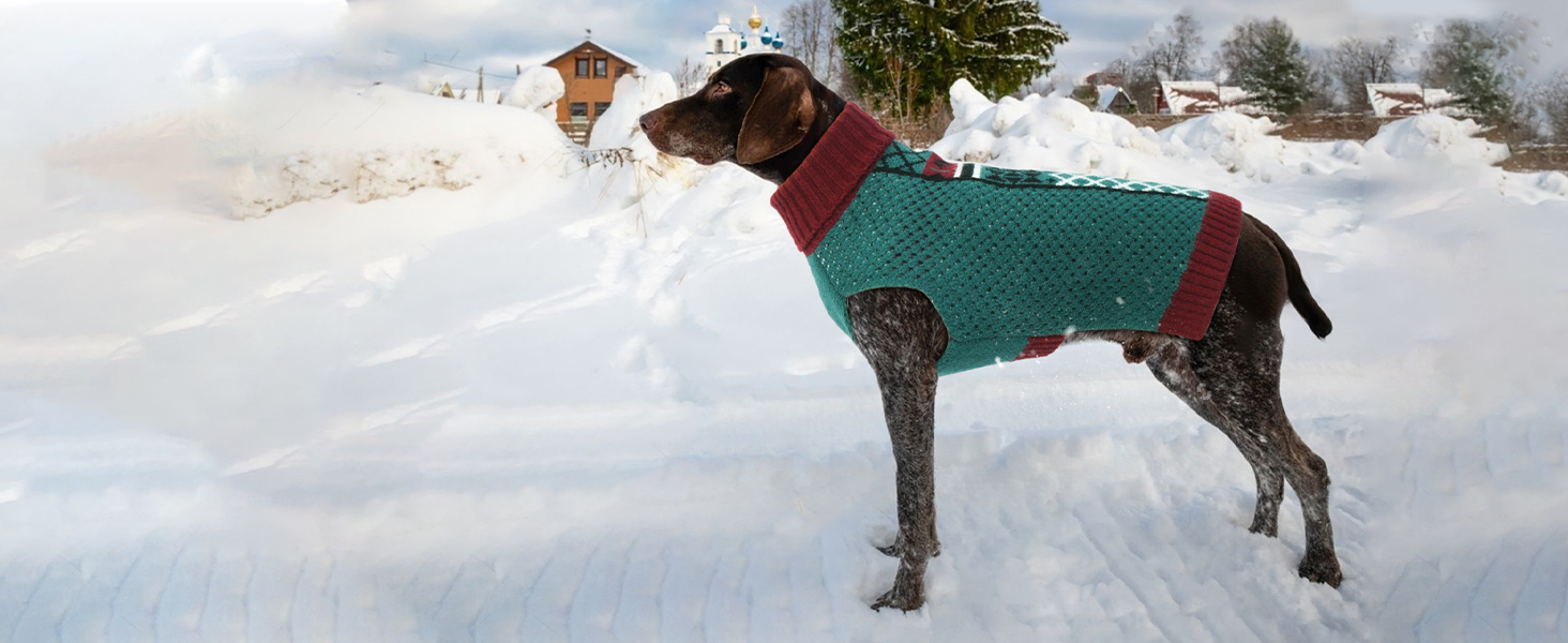 Пуловер для собак Katzinst з коміром-стойкою, зелений, 3XL XXXL. Легкий та теплий пуловер для великих собак, без рукавів, зимовий одяг для собак