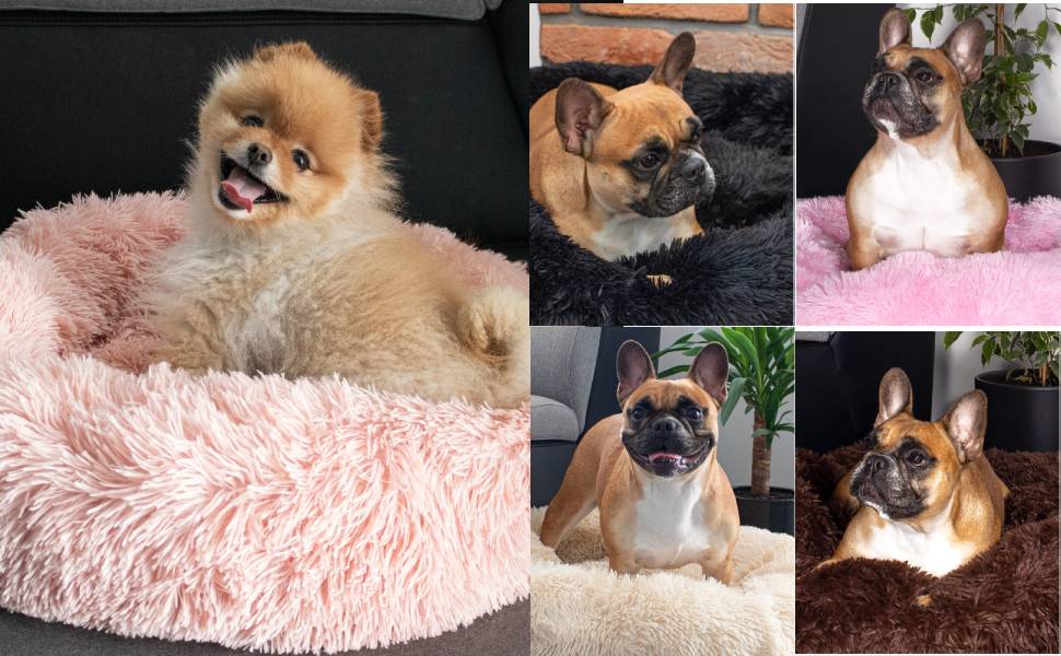 Кругле ліжко для собак Springos з антиковзною основою, 70 см, кремовий колір