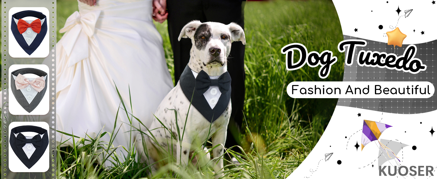 Нашийник для собак Kuoser: святковий бандана, краватка для великих собак, сірий, розмір L