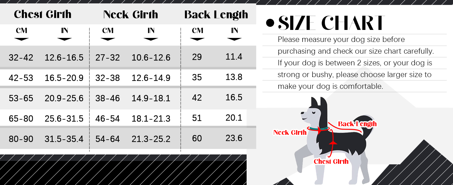 Костюм для собак