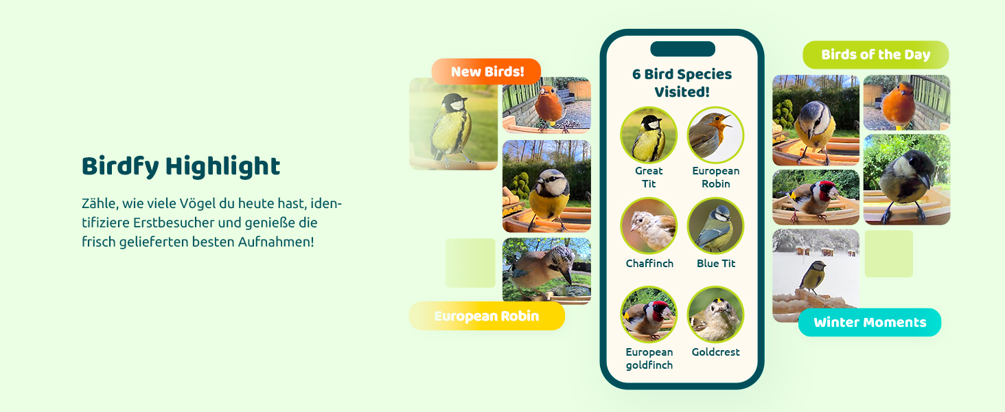 NETVUE Birdfy бамбуковий міні годівничка з камерою для спостереження за птахами, сонячна батарея, автоматичний запис, сповіщення в додатку