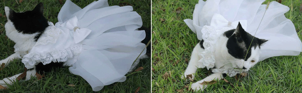 Біле сукня для собак та котів з бантиком, Тюту, для свят та вечірок, розмір L