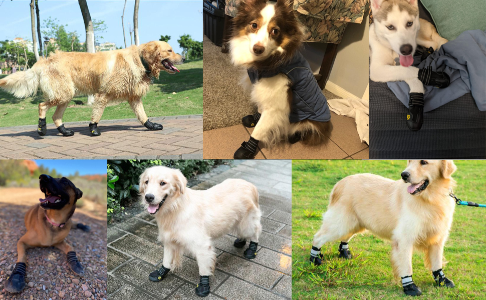 Водонепроникні чоботи для собак (4 шт.) з регульованими ремінцями та світловідбиваючими елементами, для собак малих та середніх порід