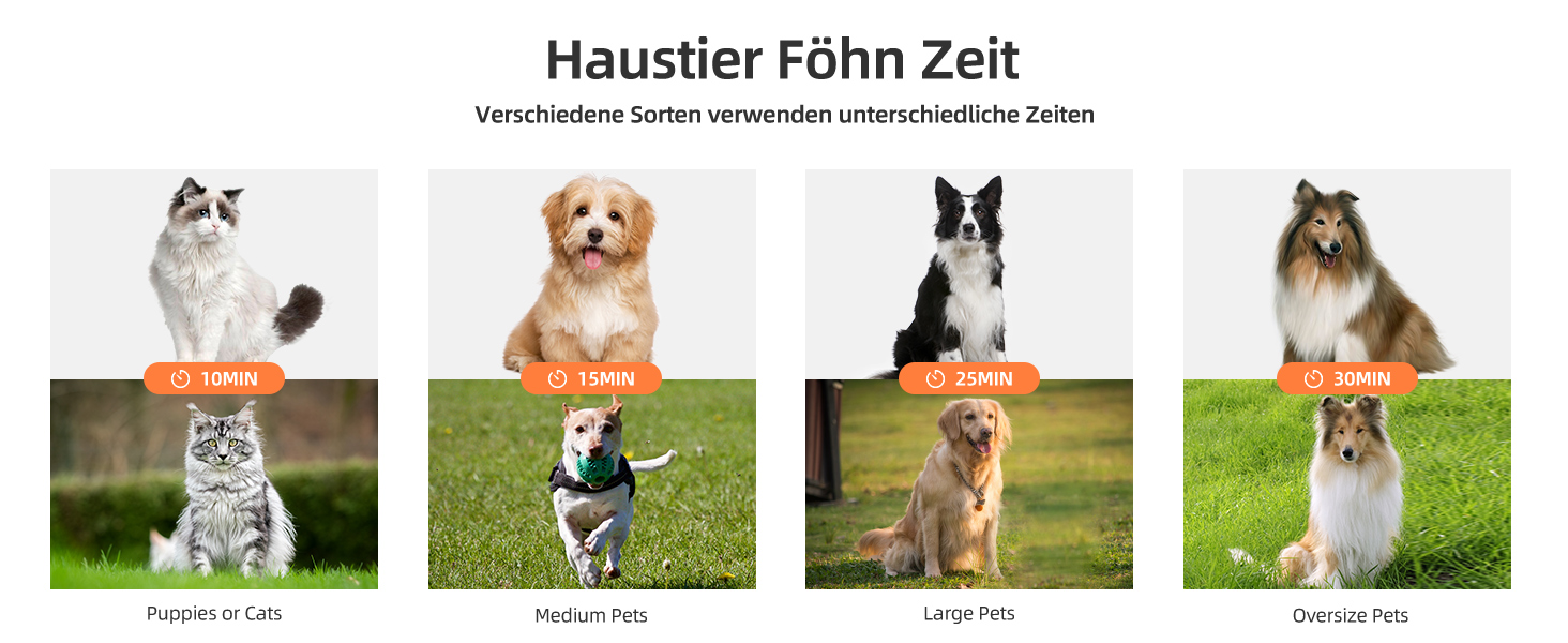 XKISS 2800W Професійний набір для догляду за тваринами 6 в 1: фен, машинка для стрижки шерсті, пилосос для шерсті