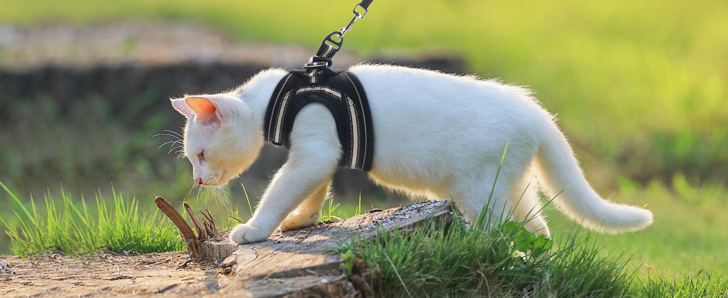 Шлейка для котів Rabbitgoo з повідком, чорна, M (XL, 1 шт.)