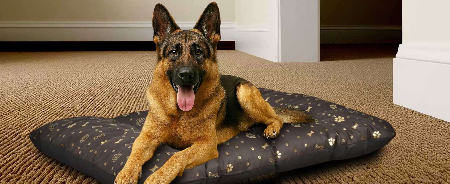 Кінг Дог: Водонепроникне ліжко для собак XL 120x80 см. Зручне, миється, з оксфордської тканини. Підходить для дому та вулиці. Графітовий колір.