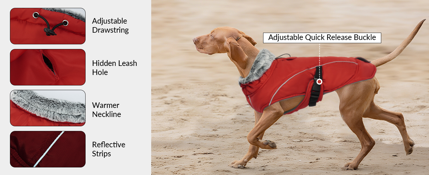 Водонепроникний зимовий теплий одяг для собак - куртка, жилет для чихуахуа, французького бульдога (Червоний, S)