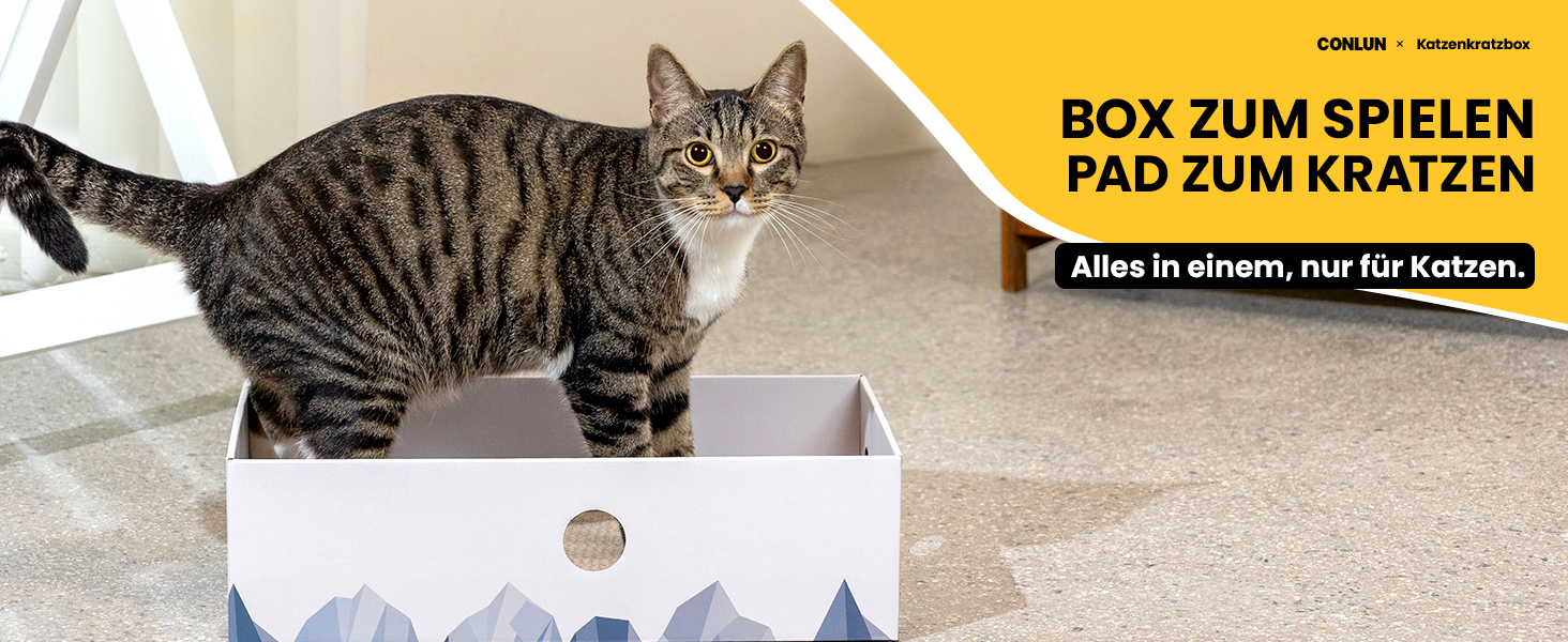 5-Piece Conlun Cat Scratch Box Set with Scratching Pad - Large, White