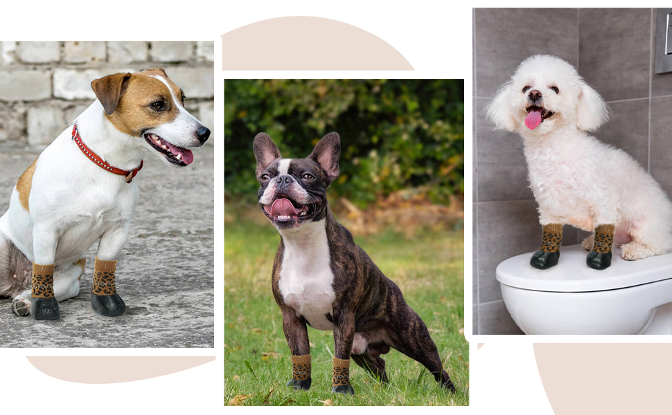 Водонепроникні шкарпетки для собак - захист лап, антиковзкі, 4 шт., для Лабрадора, Хаскі, леопардовий принт