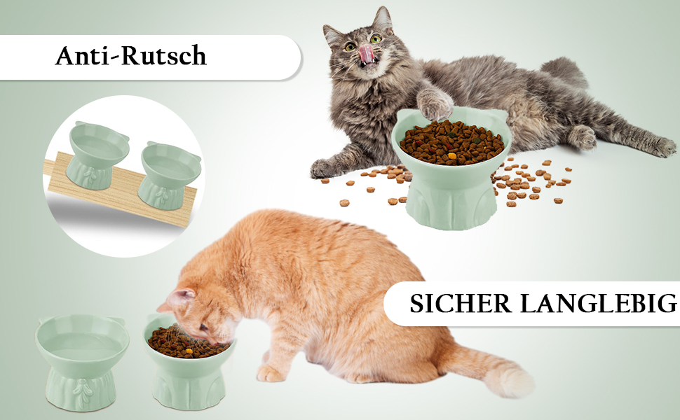 Набір мисок для котів 2 шт. підняті на 15°, кераміка, великі, для запобігання блювоті, підходять для котів та цуценят (білі)