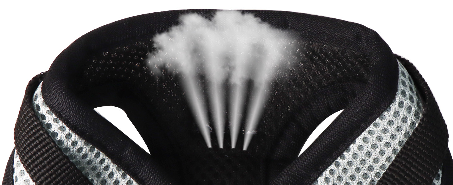 Нашийник для котів Bindokun з повідком, анти-вислизання, комплект, розмір M, сірий