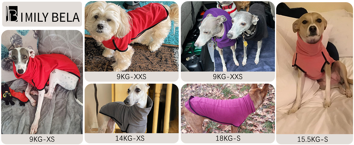 Теплий пуловер для собак Imily Bela з флісу, накидка, жилет, куртка для собак, зимовий одяг для малих, середніх та великих собак, бордовий, XL