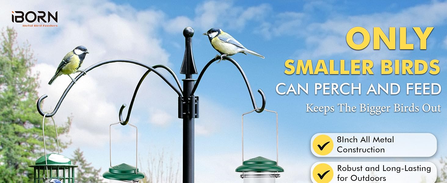 iBorn годівниця для птахів на підвіску, зелена, 2 шт. - металева, стійка до іржі, 20 см