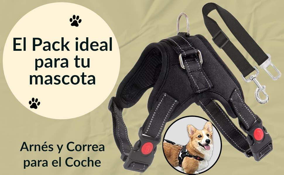 Регульоване об’їжджне дзеркало для собак маленьких порід з автомобільним страхувальним тросом, посилене, безпечне та зручне, розмір S