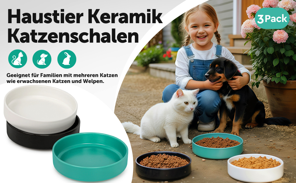 Котлові миски з кераміки для котів та кошенят: набір мисок для корму, годівниці для тварин