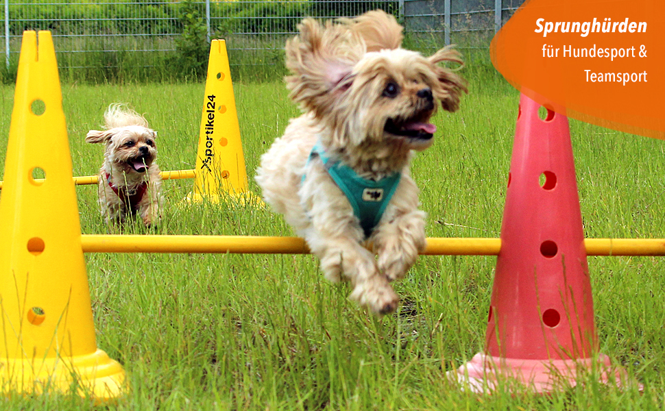 Кільцеподібна перешкода Sportikel24 для аджиліті з жердиною 100 см – для собак, коней та дітей