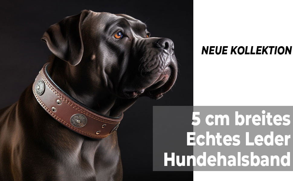 Нашийник для собак з натуральної шкіри, 5 см, чорний, розмір M (46.5-57.5 см)