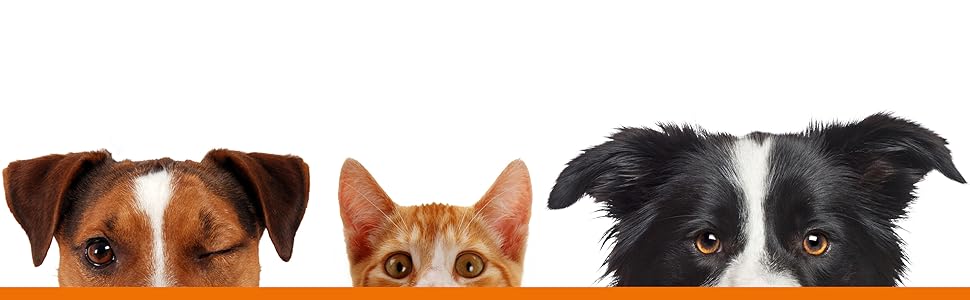 Набір посуду Karlie Silikon INOX Dinner Set Dex, 700 мл (2 x 350 мл), сірий/білий, 44x23,5x4,5 см