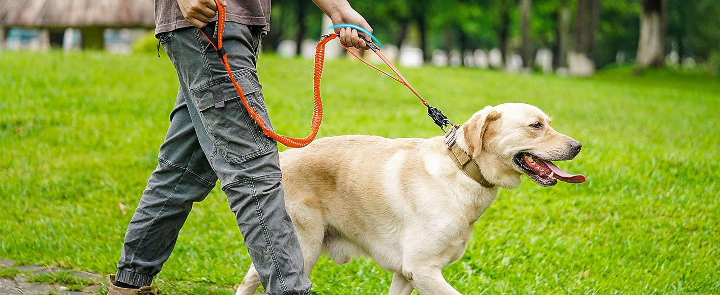 Тактична повідок для собак Joytale, 1.2м-1.8м, еластична (bungee), з 2 м'якими ручками, автофіксатор, без натягу для собак середніх, великих та екстра-великих порід, помаранчевий колір