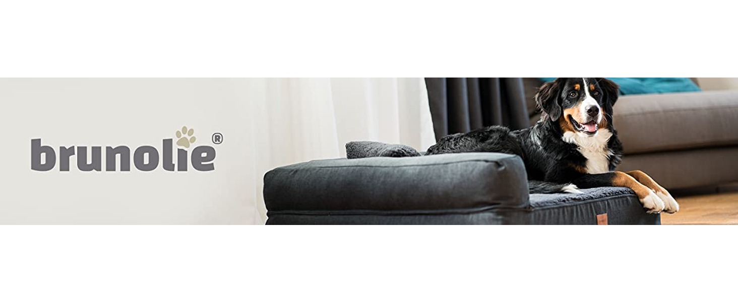 Ортопедичне собаче ліжко Brunolie Odin, зручне та миється, розмір S (80x60 см), колір темно-коричневий