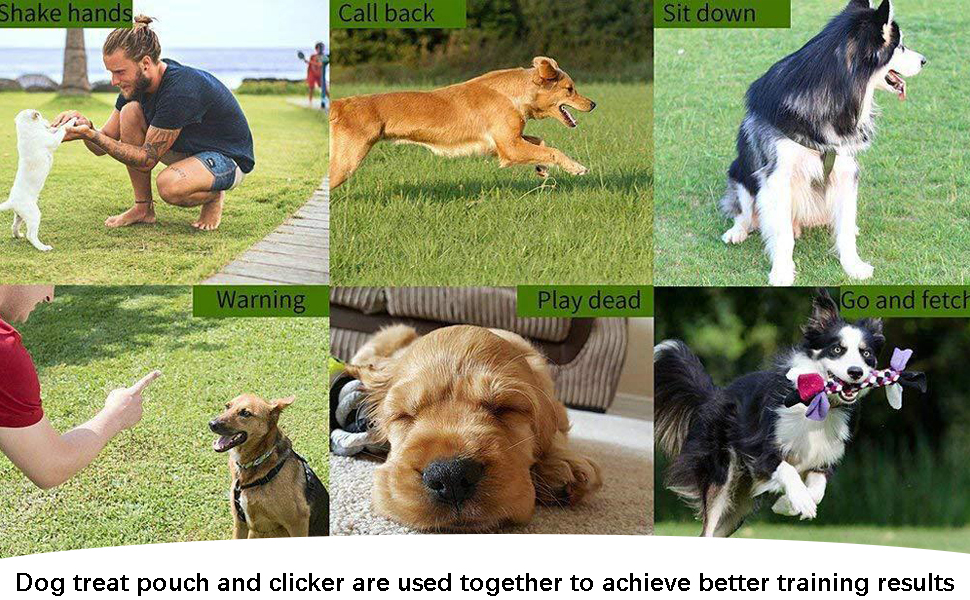 Сумка для ласощів для дресирування собак з силікону, з магнітною застібкою, з кліпсою для пояса, чорного кольору