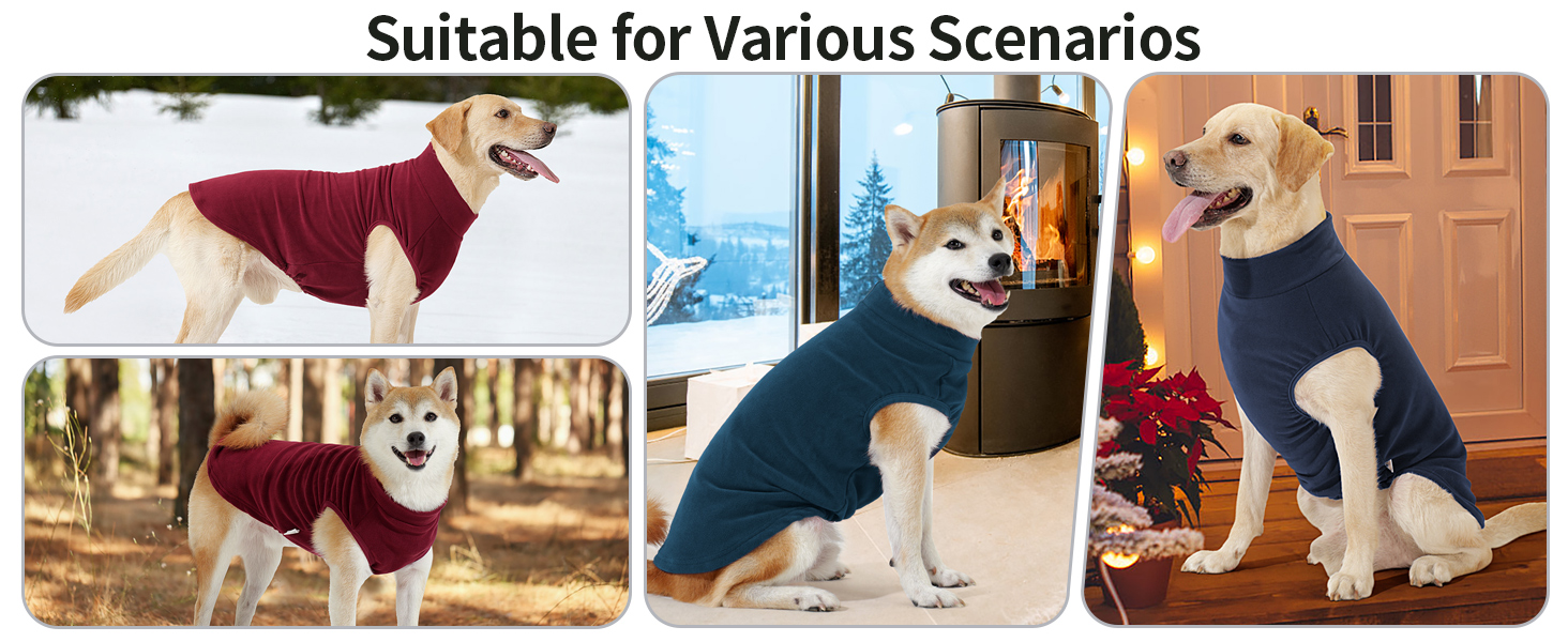 Пуловер для собак HEYWEAN: теплий флісовий костюм для маленьких, середніх та великих собак XL, синій