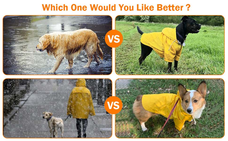 MOREZI Водонепроникний дощовик для собак з захистом лап та міцною капюшоном - Легкий, для малих/середніх порід - Застібка-блискавка, регульований шнурок, синій, S (Обхват грудей: 43-48 см), колір 'Глибокий синій'