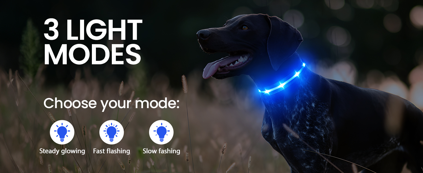 Світлодіодне нашийник для собак Masbrill, світловідбиваючий, водонепроникний, регульований, з 3 світлодіодами, для малих, середніх та великих собак, червоний, L