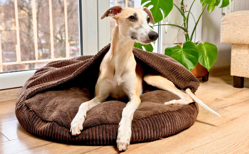 Ліжко для собак 4L Textil Vigo з капюшоном, печеринка для собак, ковдра, корзина для собак, спальний мішок для собак, корзинка для собак, матеріал: Cord, середні породи собак, з ковдрою (Темно-коричневий, L 90 x B 90 x H 12 см)
