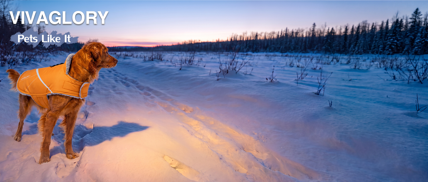 Зимовий водонепроникний комбінезон для собак VIVAGLORY Snowrap, розмір M, помаранчевий (обхват грудей: 56-66 см)