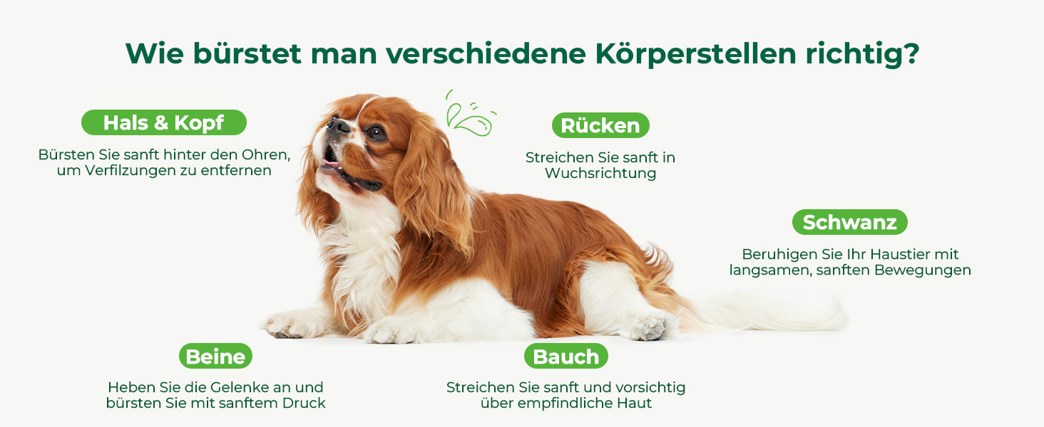 Професійна щітка Pecute Slicker для собак, видаляє підшерсток, ковтуни, 25 мм, S. Ідеально для пуделів, тедді, кокапу, довгошерстих собак. Без липких кульок.