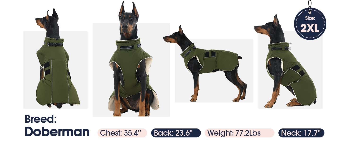 Зимова куртка для собак IECOii, тепла, водонепроникна, регульована, з відбиваючими елементами, фіолетова, XL
