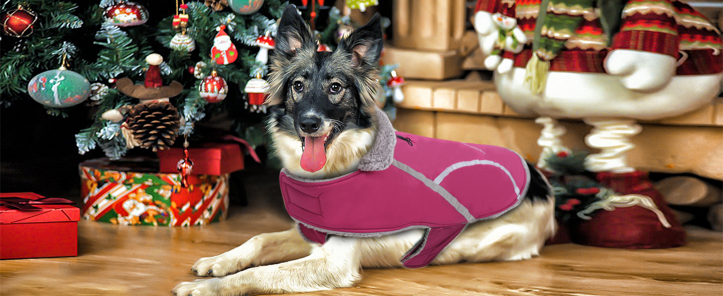 Теплий зимовий одяг для собак VIVAGLORY Frostfit: софтшелл з підкладкою з флісу, захист від снігу та холоду, світловідбиваючі елементи, сірий, XS (37-44см)