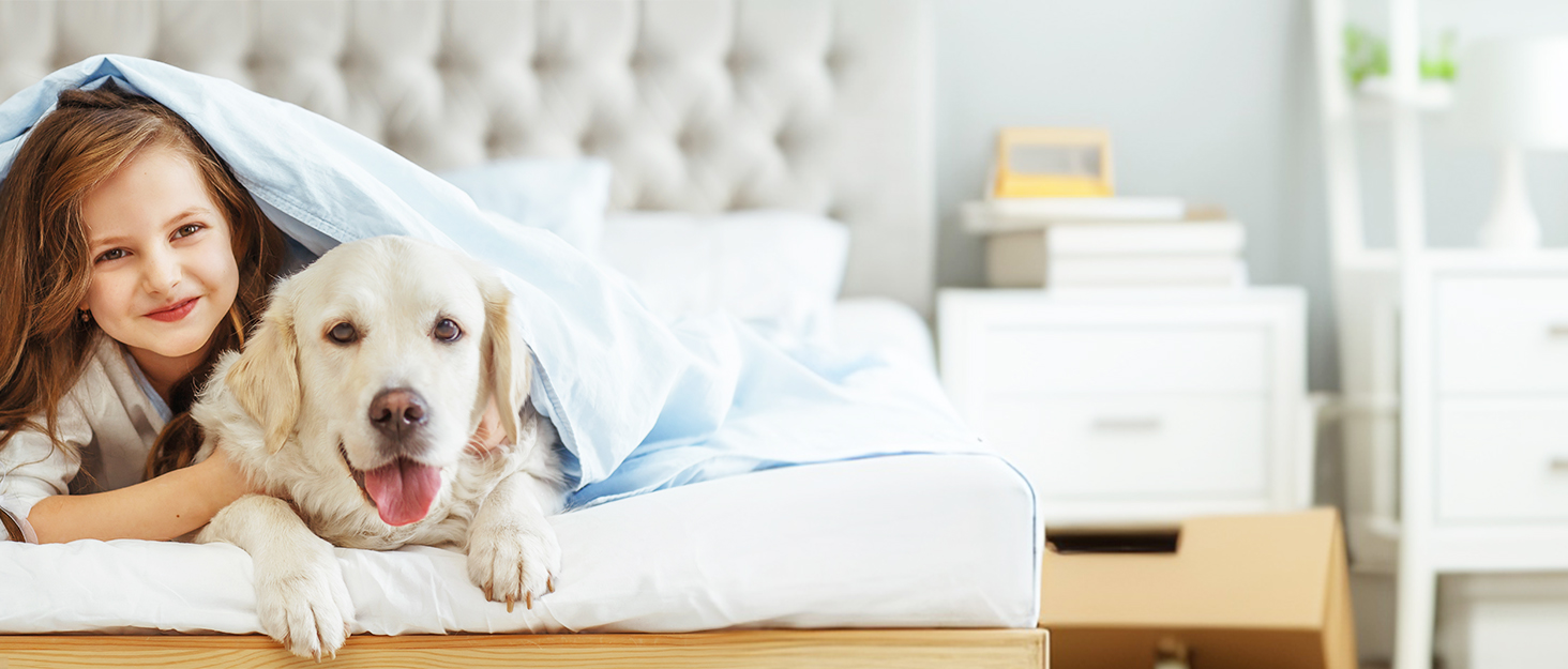 Миска для води Happy Hachi для собак з вугільним фільтром, повільний водопоїльник, нековзна, без витоків, для дому