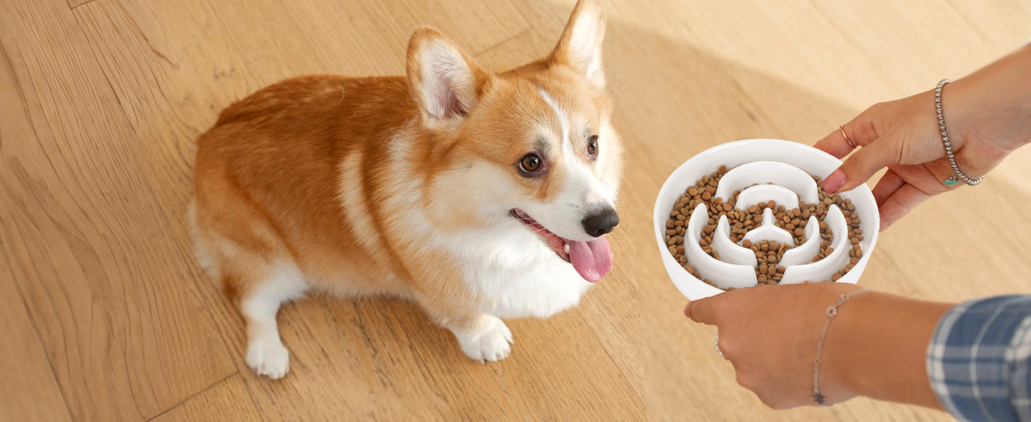 PETTOM Миска для собак протиковтання, кераміка, Ø 21 см, для великих та малих собак, Slow Feeder, білий