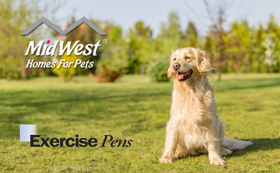 Вольєр для собак Midwest Homes for Pets 542-30, металевий, розкладний, з дверцятами, 61 x 76 см, золотисто-цинкований, 157 x 157 x 61 см