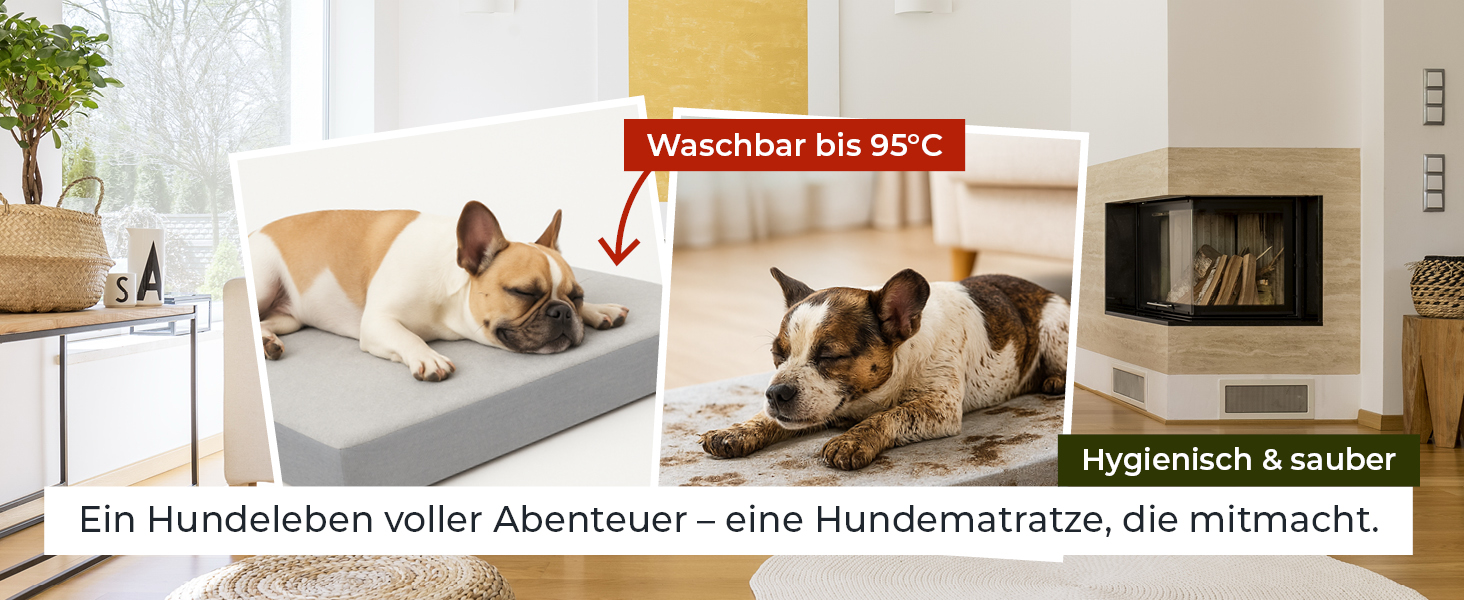 Ортопедичний матрац для собак Doctor Bark з флісовою поверхнею, великий (100x70 см, сірий)