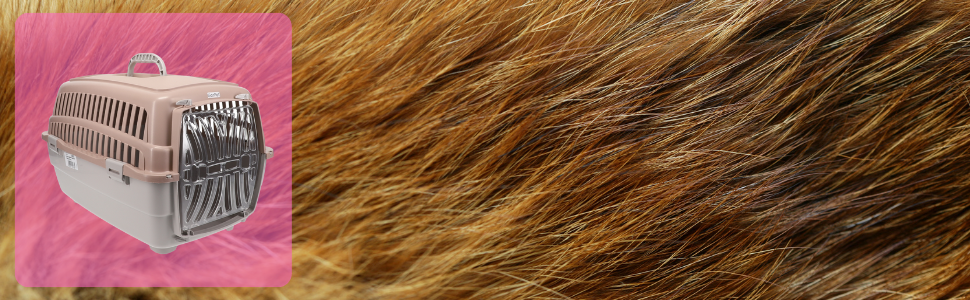 Транспортний бокс для собак, котів, кроликів: переноска для авто з великою кількістю отворів та надійним замком