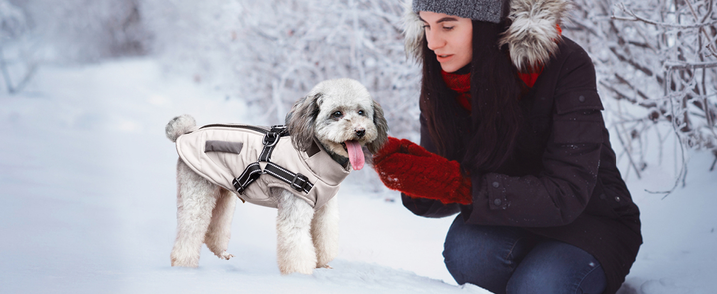 Зимові куртки для собак, теплі водонепроникні накидки для цуценят та собак середніх розмірів, з шлейкою, фіолетовий