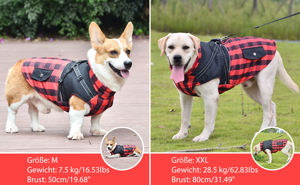 Теплий зимовий одяг для собак: флісова жилетка, куртка з блискавкою, водонепроникний одяг для холодної погоди (L, Синій)