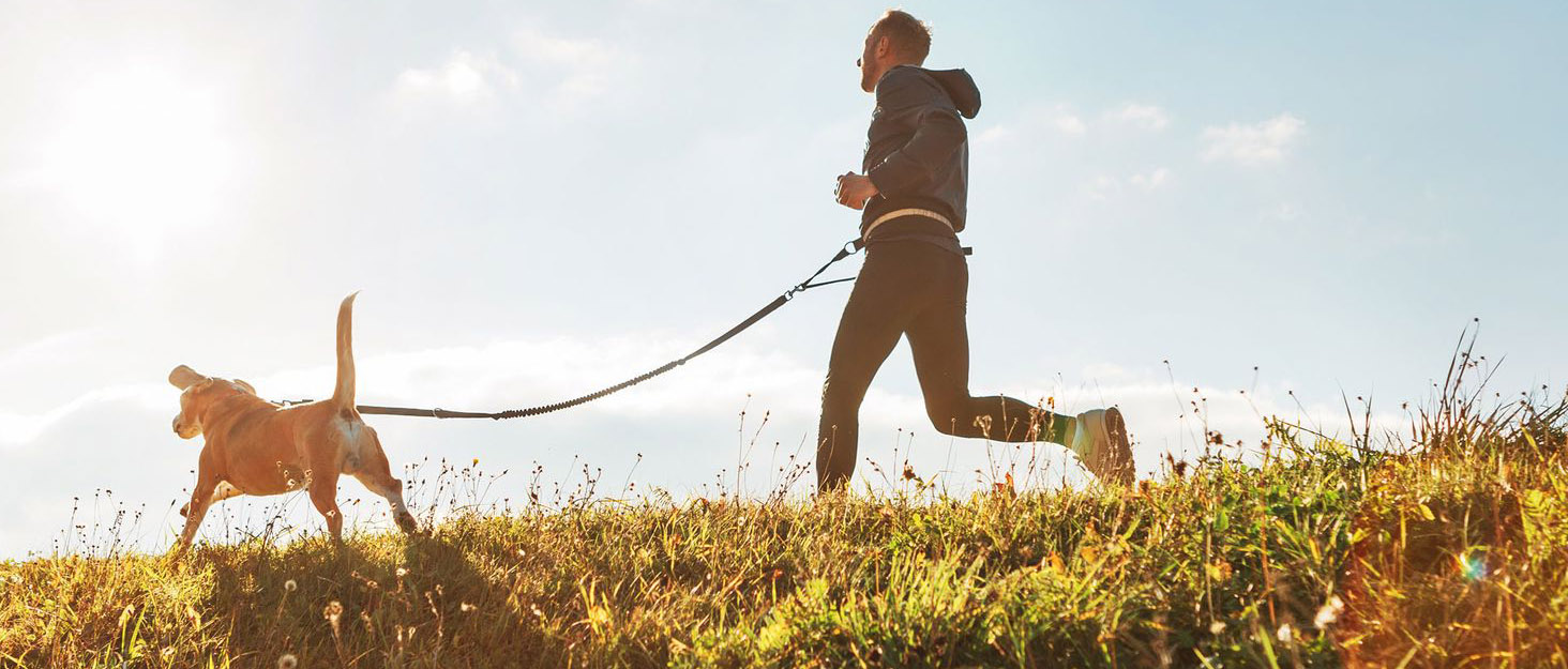 Електричний нагрівальний килимок NICREW для котів та собак 40x45 см, з захистом від кусання, бежевий, 30 Вт, регульована температура